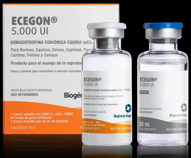 Ecegon